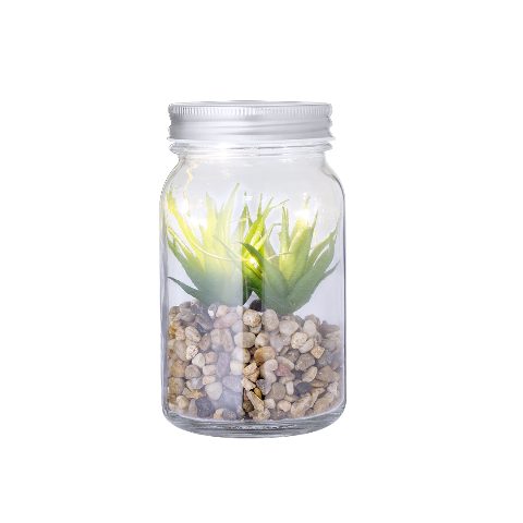 Planta Decorativa - Kyala