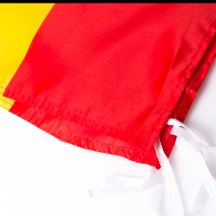 Bandeira - Caser – foto 3